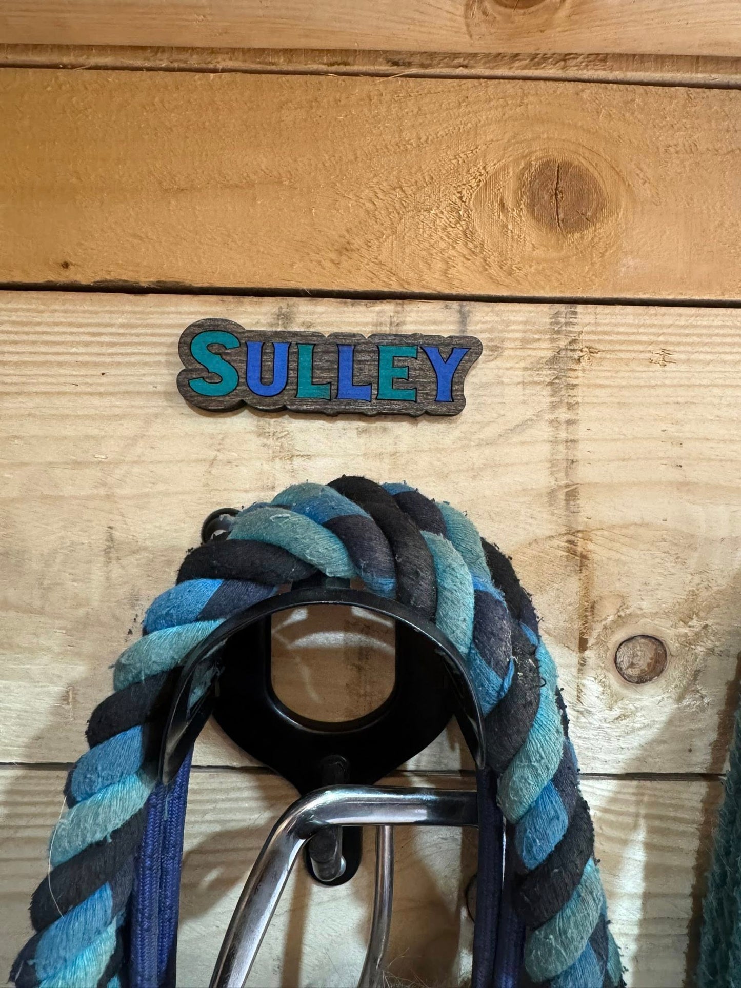 Personalized Horse Name Signs for Bridles and Stalls - Organize your tack with Name Plates!